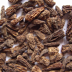 廣元山菇 綠色珍寶，品味自然之韻